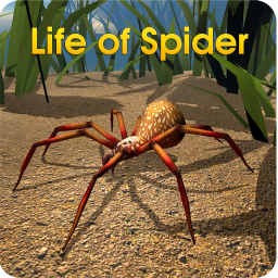 دانلود Life of Spider