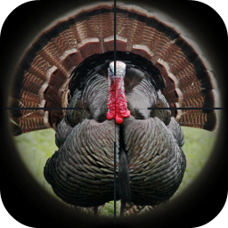 دانلود Turkey Hunting Calls