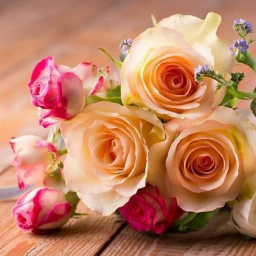دانلود Beautiful Flowers & Roses Pics