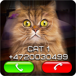 دانلود Fake Video Call Cat