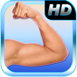 Arm Fitness: Bicep & Triceps