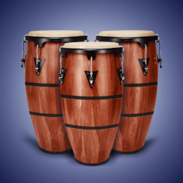 دانلود Real Percussion: drum set