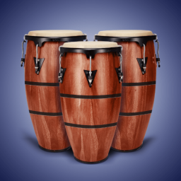 دانلود Real Percussion: drum set