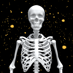 دانلود Assemble Skeleton