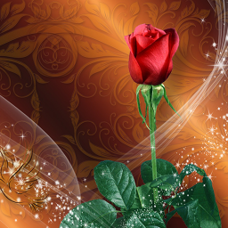 دانلود Roses Live Wallpaper