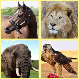 دانلود Kids' World of Animals