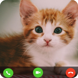 دانلود Cat Fake Video Call prank