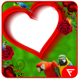 Parrot Insta DP
