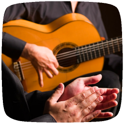 دانلود Flamenco Guitar Lessons Guide