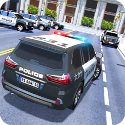 Luxury Police Car