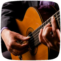 دانلود Fingerstyle Guitar Guide