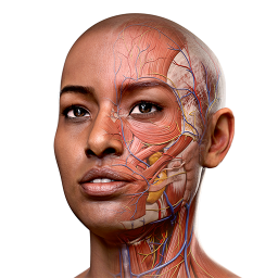 دانلود Complete Anatomy