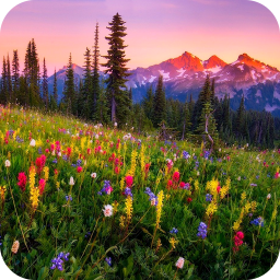 دانلود Mountain Flowers