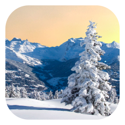 دانلود Winter Live Wallpaper