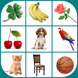 دانلود Brain game. Picture Match.