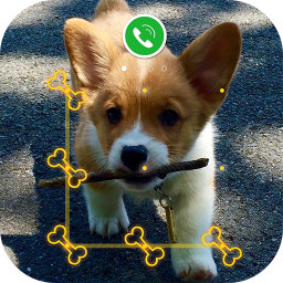 دانلود AppLock Live Theme - Corgi