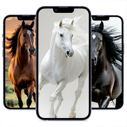 دانلود Horse Wallpaper HD: Themes