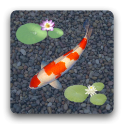دانلود aniPet Koi LiveWallpaper