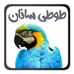 آموزش نگهداری از طوطی ها