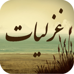 غزلیات - گنجینه شعر عاشقانه فارسی