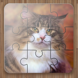 دانلود Cat Puzzle Game