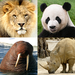 دانلود Animals Quiz Learn All Mammals