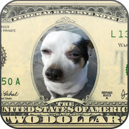 دانلود Funny Photo Collage