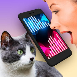 دانلود Cat Translator Pet Talk Meow