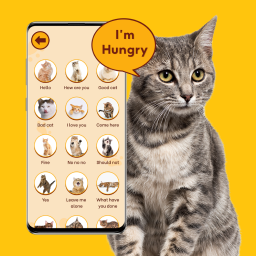 دانلود Translate for Animal: Cat, Dog