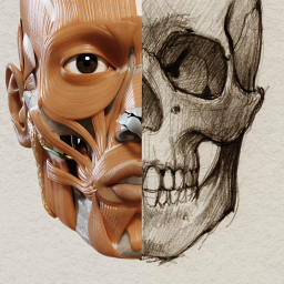 دانلود 3D Anatomy for the Artist