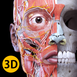 دانلود Anatomy 3D Atlas