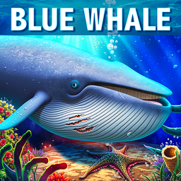 دانلود Blue Whale Simulator - Game دانلود Blue Whale Simulator - Game