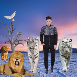 دانلود Wildlife Photo Frame
