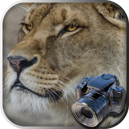 دانلود Hidden Animals: Photo Hunt