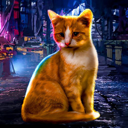 دانلود Stray Cat Game City Simulator