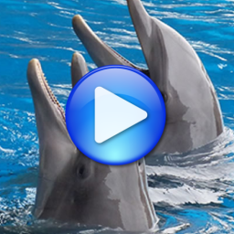 دانلود Dolphins songs to sleep