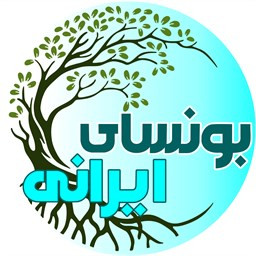 دانلود بونسای ایرانی