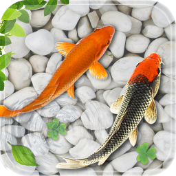 دانلود Fish Live Wallpaper Aquarium