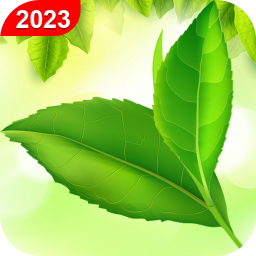 دانلود Green Leaf Live Wallpaper HD