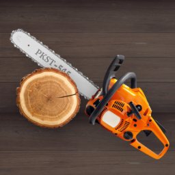 دانلود Chainsaw