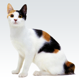 دانلود Animal sounds