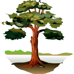 دانلود Trees