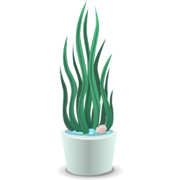 دانلود Houseplants