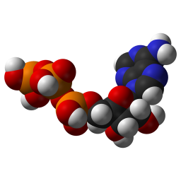 دانلود Metabolism