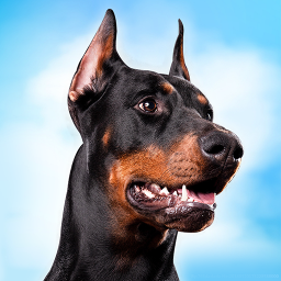 دانلود Doberman Dog Simulator