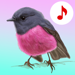 دانلود Bird Songs: Ringtones