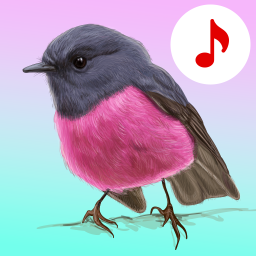دانلود Bird Songs: Ringtones