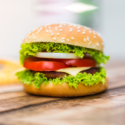 دانلود Burger and Pizza Recipes