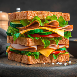 دانلود Sandwich Recipes