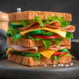 دانلود Sandwich Recipes